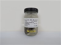 藏品(金背鳩)的圖片